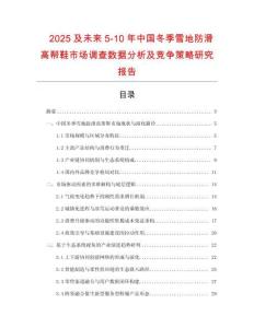 2025及未來5-10年中國冬季雪地防滑高幫鞋市場調查數據分析及競爭策略研究報告