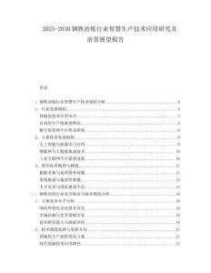 2025-2030鋼鐵冶煉行業智慧生產技術應用研究及前景展望報告