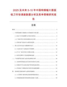 2025及未來5-10年中國鎢鋼鋸片圓弧銑刀市場調查數據分析及競爭策略研究報告