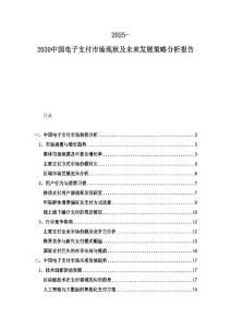 2025-2030中國電子支付市場現(xiàn)狀及未來發(fā)展策略分析報告
