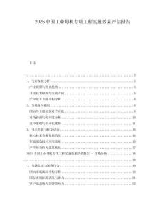 2025中國工業(yè)母機(jī)專項工程實(shí)施效果評估報告
