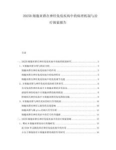 2025B細胞亞群在神經(jīng)免疫疾病中的病理機制與治療探索報告