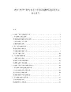 2025-2030中國電子支付市場供需格局及投資效益評估報告
