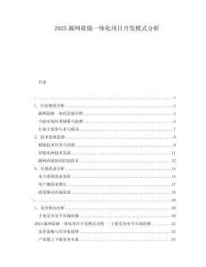 2025源網(wǎng)荷儲一體化項目開發(fā)模式分析