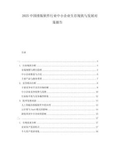 2025中國排版軟件行業中小企業生存現狀與發展對策報告