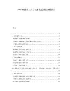 2025碳捕集与封存技术发展现状分析报告