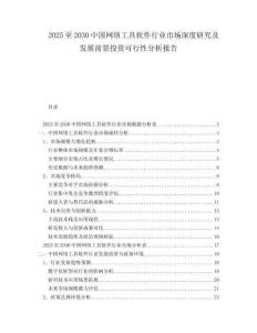 2025至2030中國網絡工具軟件行業市場深度研究及發展前景投資可行性分析報告