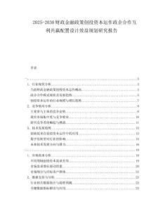 2025-2030財政金融政策創投資本運作政企合作互利共贏配置設計效益規劃研究報告
