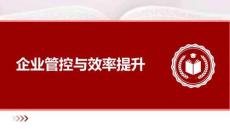 企業(yè)管控與效率提升
