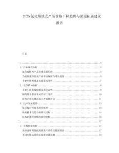 2025氮化鎵快充產(chǎn)品價格下降趨勢與渠道拓展建議報告