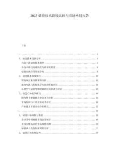 2025儲能技術(shù)路線比較與市場格局報告