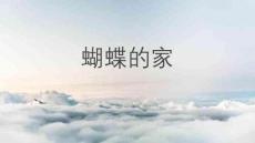8蝴蝶的家