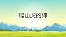 10爬山虎的腳 課件