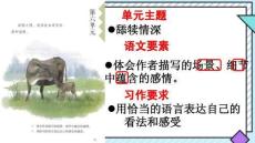 20_ “精彩極了”和“糟糕透了”  課件