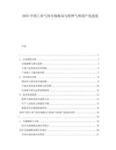 2025中國工業氣體市場格局與特種氣體國產化進度
