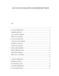 2025家電行業(yè)市場分析及未來規(guī)劃發(fā)展研究報告