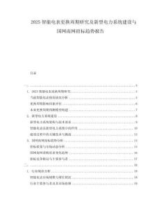 2025智能電表更換周期研究及新型電力系統(tǒng)建設(shè)與國網(wǎng)南網(wǎng)招標(biāo)趨勢報(bào)告