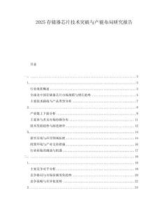 2025存儲器芯片技術突破與產能布局研究報告