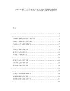 2025中國衛(wèi)星有效載荷連接技術(shù)發(fā)展趨勢前瞻