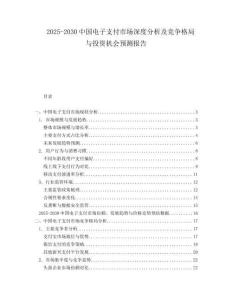 2025-2030中國電子支付市場深度分析及競爭格局與投資機會預測報告