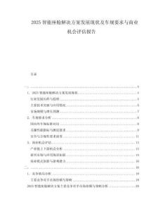 2025智能座艙解決方案發(fā)展現(xiàn)狀及車規(guī)要求與商業(yè)機會評估報告