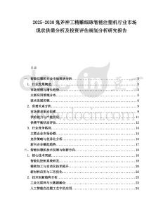 2025-2030鬼斧神工精雕細(xì)琢智能注塑機(jī)行業(yè)市場現(xiàn)狀供需分析及投資評估規(guī)劃分析研究報告