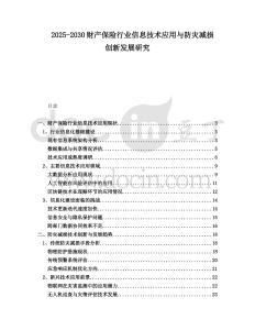 2025-2030財產(chǎn)保險行業(yè)信息技術(shù)應(yīng)用與防災(zāi)減損創(chuàng)新發(fā)展研究