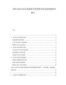 2025家電行業(yè)市場現(xiàn)狀分析投資評估發(fā)展規(guī)劃研究報告