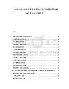 2025-2030鋼鐵冶金設備制造行業市場需求供應格局投資評估規劃報告