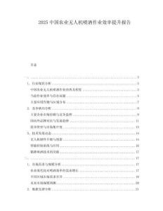 2025中國農(nóng)業(yè)無人機(jī)噴灑作業(yè)效率提升報(bào)告