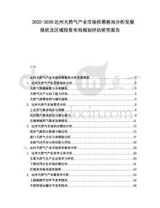 2025-2030達州天然氣產業市場供需格局分析發展現狀及區域投資布局規劃評估研究報告