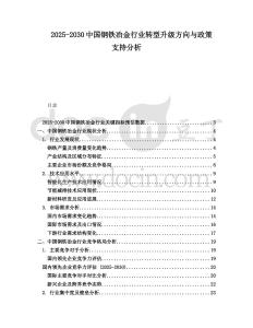 2025-2030中國鋼鐵冶金行業轉型升級方向與政策支持分析