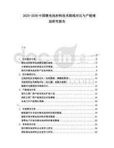 2025-2030中國鋰電池材料技術路線對比與產能規劃研究報告