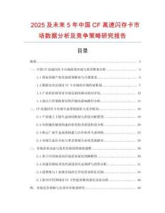 2025及未來(lái)5年中國(guó)CF高速閃存卡市場(chǎng)數(shù)據(jù)分析及競(jìng)爭(zhēng)策略研究報(bào)告