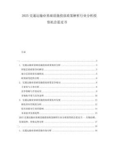 2025交通運輸業基礎設施投放政策解析行業分析投資機會藍皮書