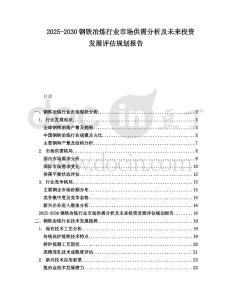 2025-2030鋼鐵冶煉行業(yè)市場供需分析及未來投資發(fā)展評估規(guī)劃報告