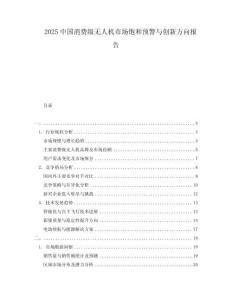 2025中國消費(fèi)級無人機(jī)市場飽和預(yù)警與創(chuàng)新方向報告
