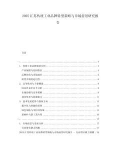 2025江蘇傳統工業品牌轉型策略與市場前景研究報告