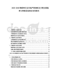 2025-2030物聯網行業市場嚴密調研及萬物互聯趨勢與智能設備商業布局報告