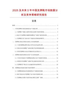 2025及未來5年中國發牌靴市場數據分析及競爭策略研究報告