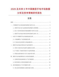 2025及未來(lái)5年中國(guó)微型手電市場(chǎng)數(shù)據(jù)分析及競(jìng)爭(zhēng)策略研究報(bào)告