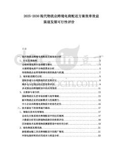 2025-2030現(xiàn)代物流業(yè)跨境電商配送方案效率效益渠道發(fā)展可行性評價