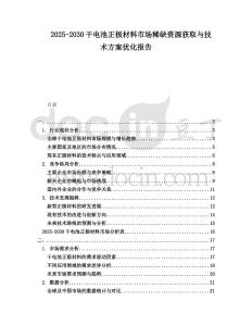 2025-2030干電池正極材料市場(chǎng)稀缺資源獲取與技術(shù)方案優(yōu)化報(bào)告