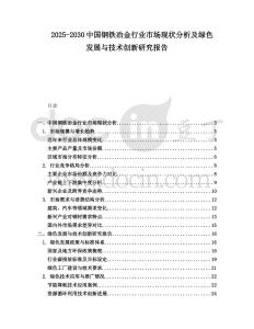 2025-2030中國鋼鐵冶金行業(yè)市場現(xiàn)狀分析及綠色發(fā)展與技術(shù)創(chuàng)新研究報告