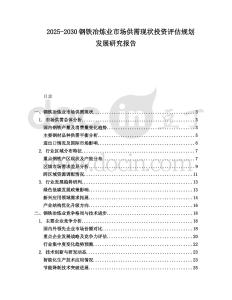 2025-2030鋼鐵冶煉業(yè)市場供需現(xiàn)狀投資評估規(guī)劃發(fā)展研究報告