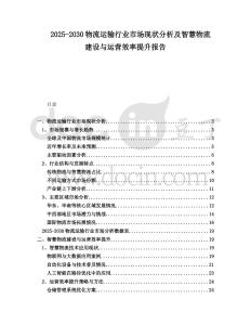 2025-2030物流運輸行業市場現狀分析及智慧物流建設與運營效率提升報告