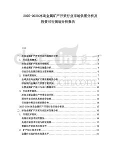 2025-2030冰島金屬礦產(chǎn)開采行業(yè)市場供需分析及投資可行規(guī)劃分析報告