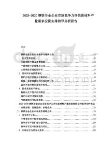 2025-2030鋼鐵冶金企業(yè)市場競爭力評估原材料產(chǎn)量需求投資安排指導(dǎo)分析報告