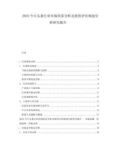 2025今日頭條行業市場供需分析及投資評估規劃分析研究報告