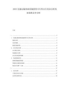 2025交通運輸基礎設施投資可行性出行需求分析發(fā)展策略競爭分析